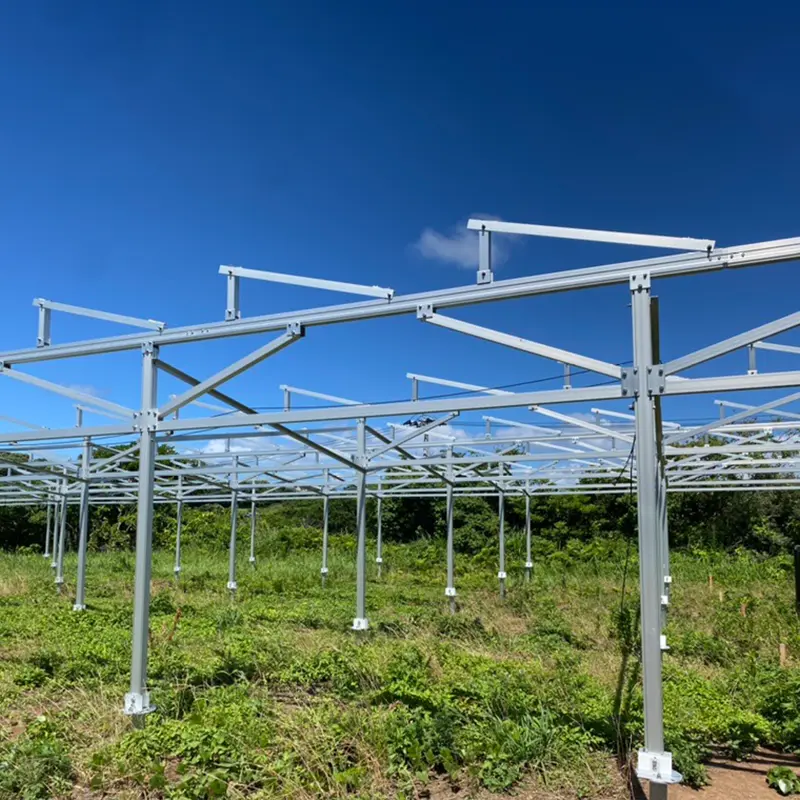 Huertos solares: futuras estrellas de la energía verde