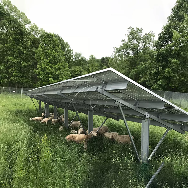 Paneles solares para granjas: ¡Ayudando a la sostenibilidad de la energía agrícola a un nivel superior!